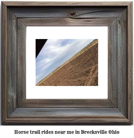 horse trail rides near me in Brecksville, Ohio